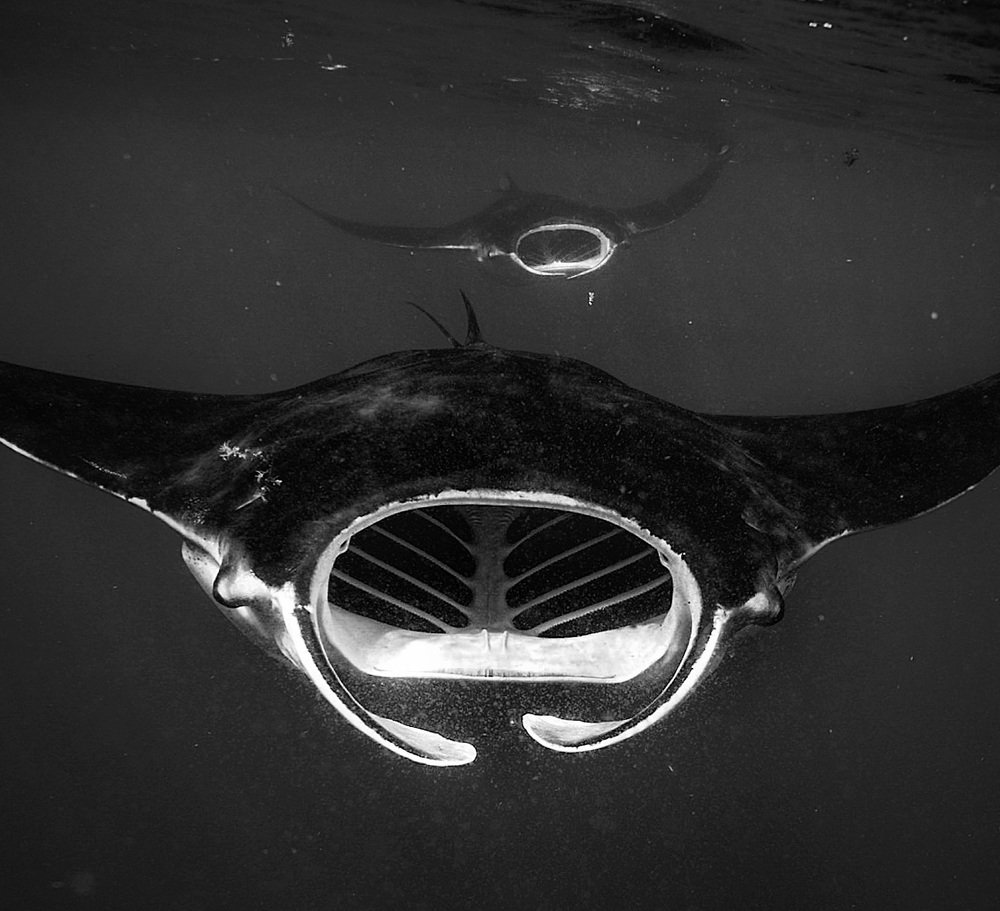 Photograph by Mizael Palomeque