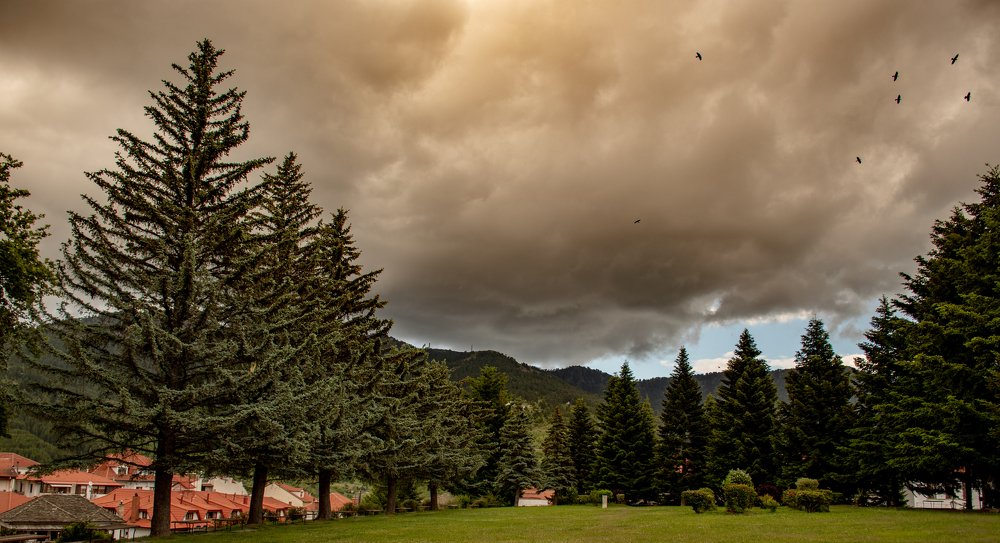 Photograph by vasilis trigas