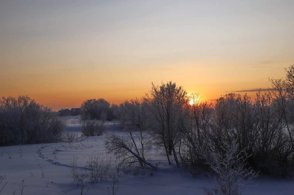 Photograph by Александр Трифанов