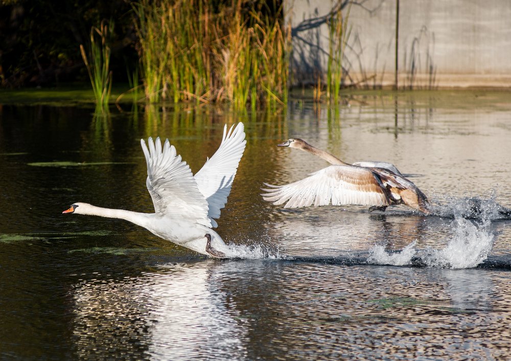 Photograph by Сергей Степанов