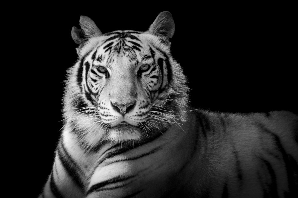 Photograph by Jesus Frias