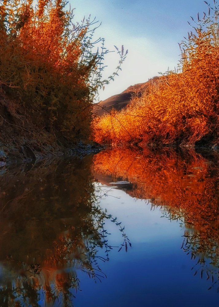 Photograph by Yahya Kakapour