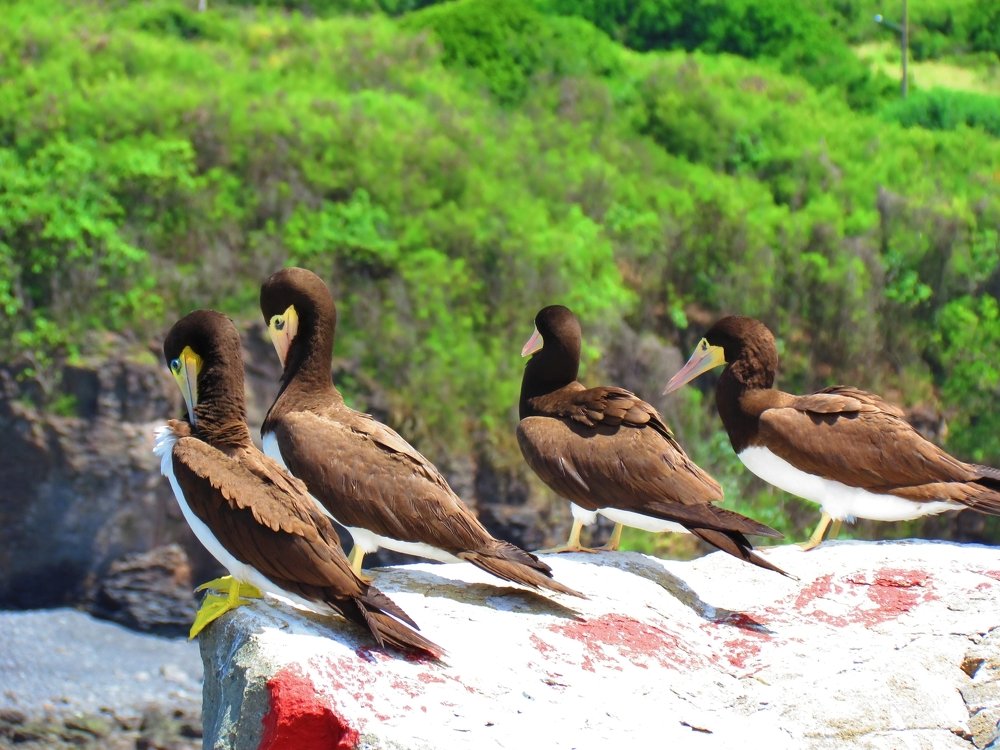 Photograph by Antonio Marin Jr