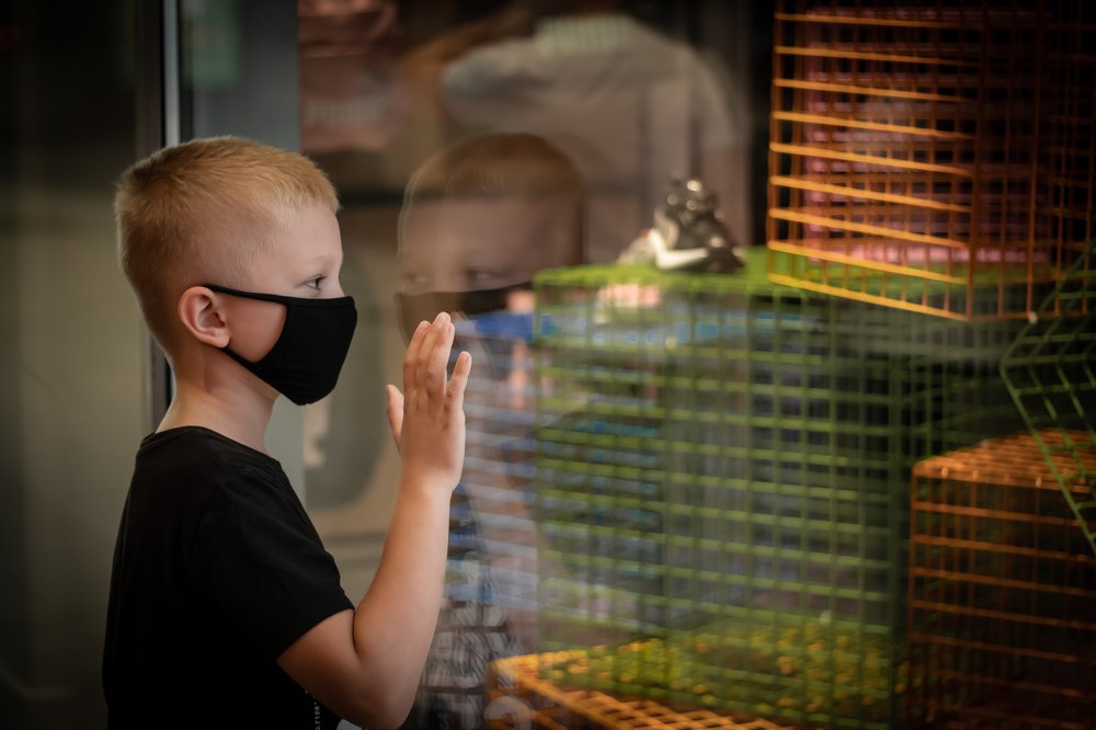 Мир превратился в клетку