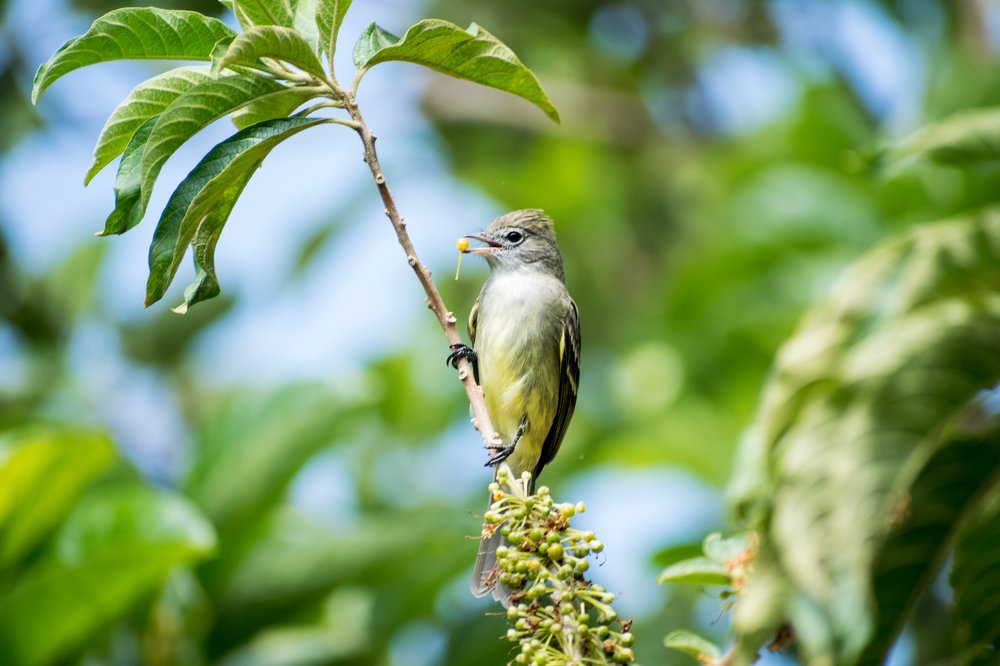 Photograph by Aldair Peñaranda Arenas