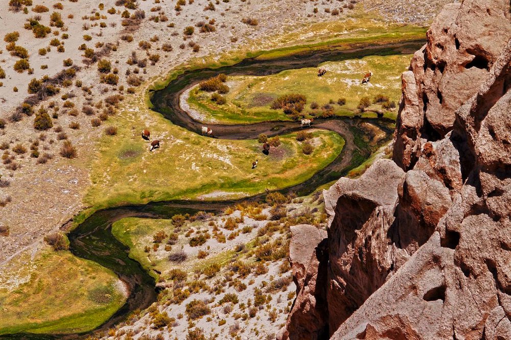 Photograph by SI SABER LOTFI