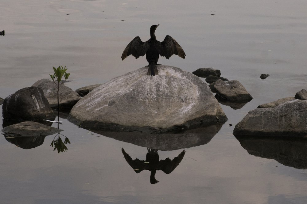 Photograph by Ricardo Canabal