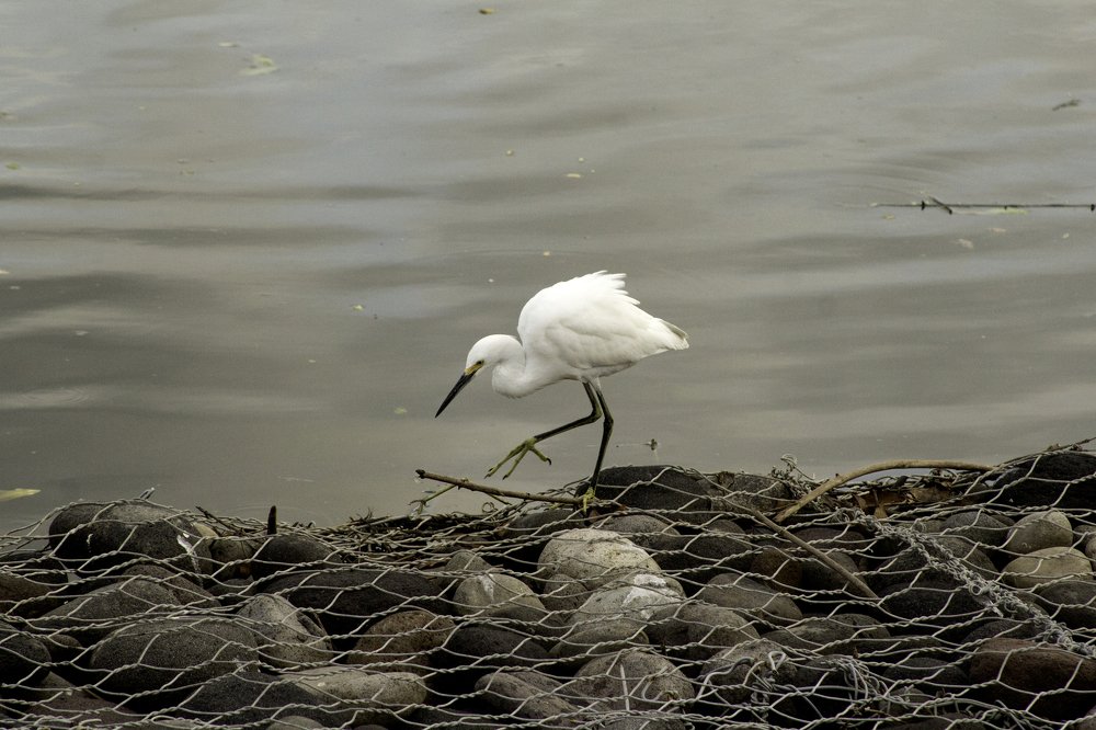 Photograph by Ricardo Canabal
