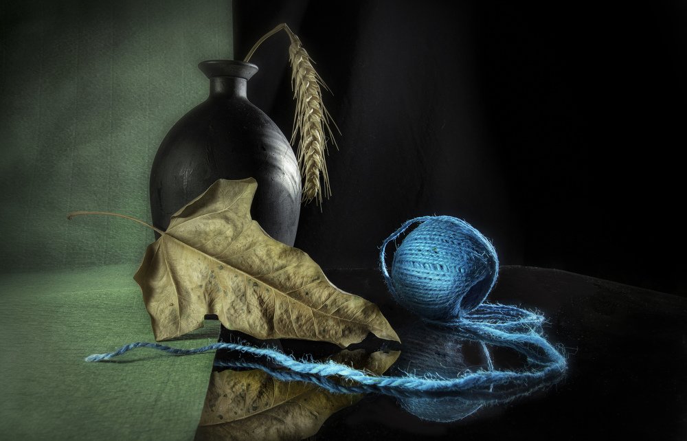 Photograph by Ilya Spektor