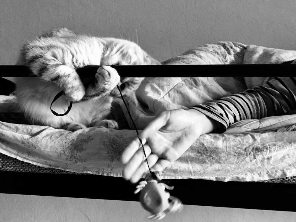 Photograph by Елена Ким