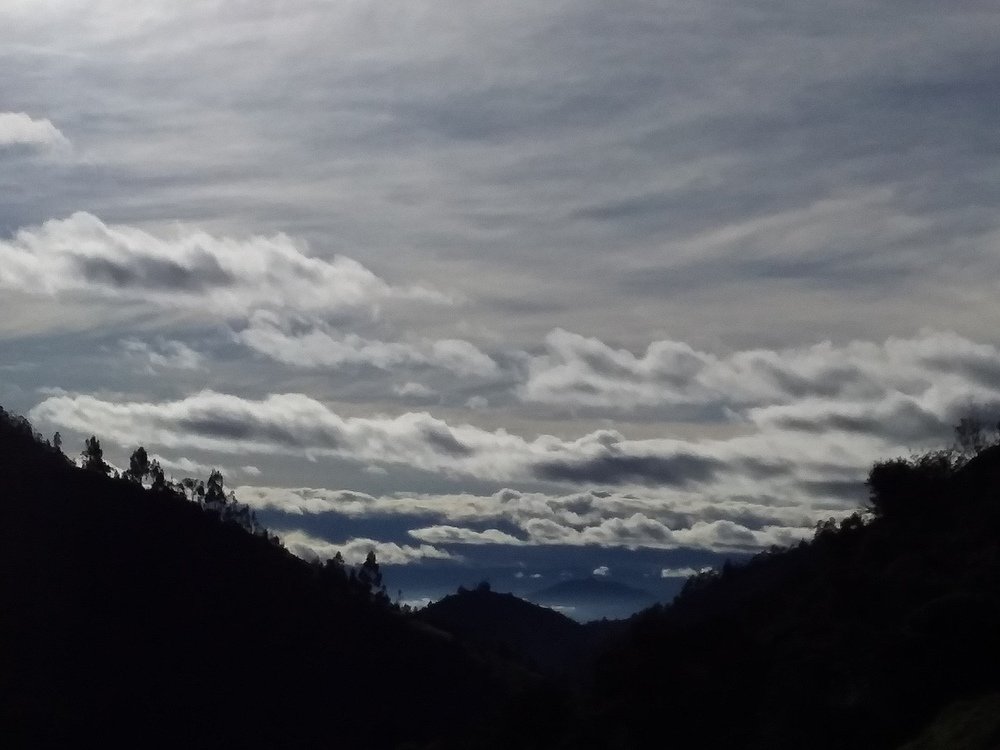 Photo #4883076