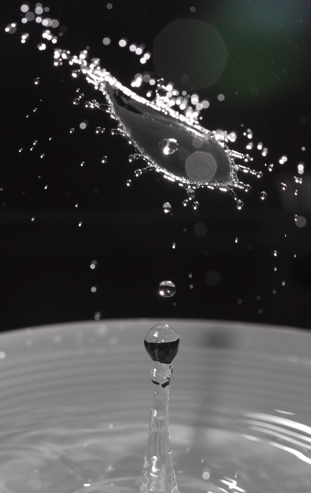 Photograph by Ольга Линк