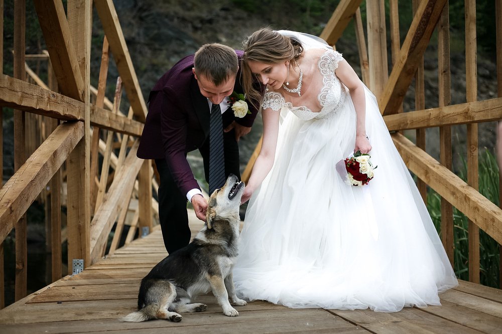 Photograph by Наталья Соболева