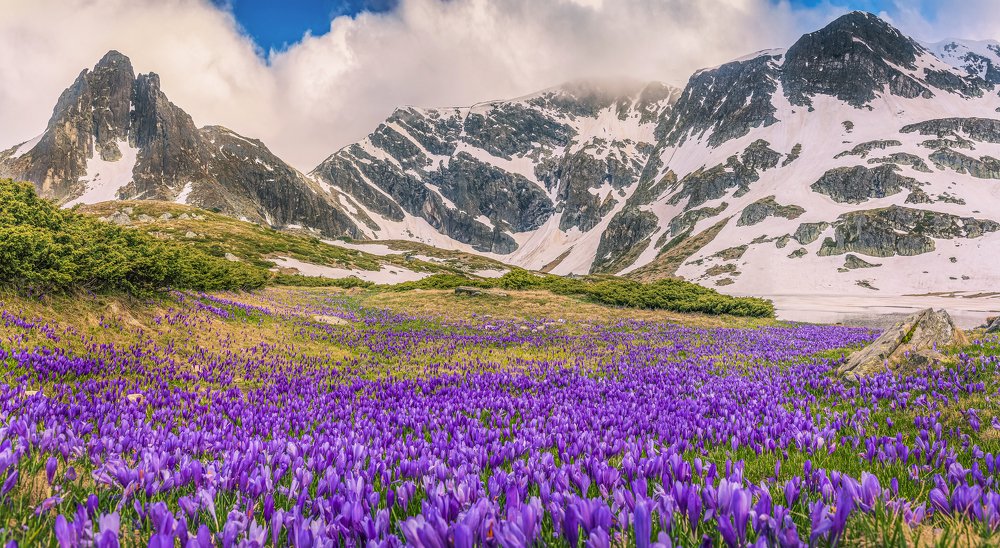 Photograph by Venelin Dimitrov