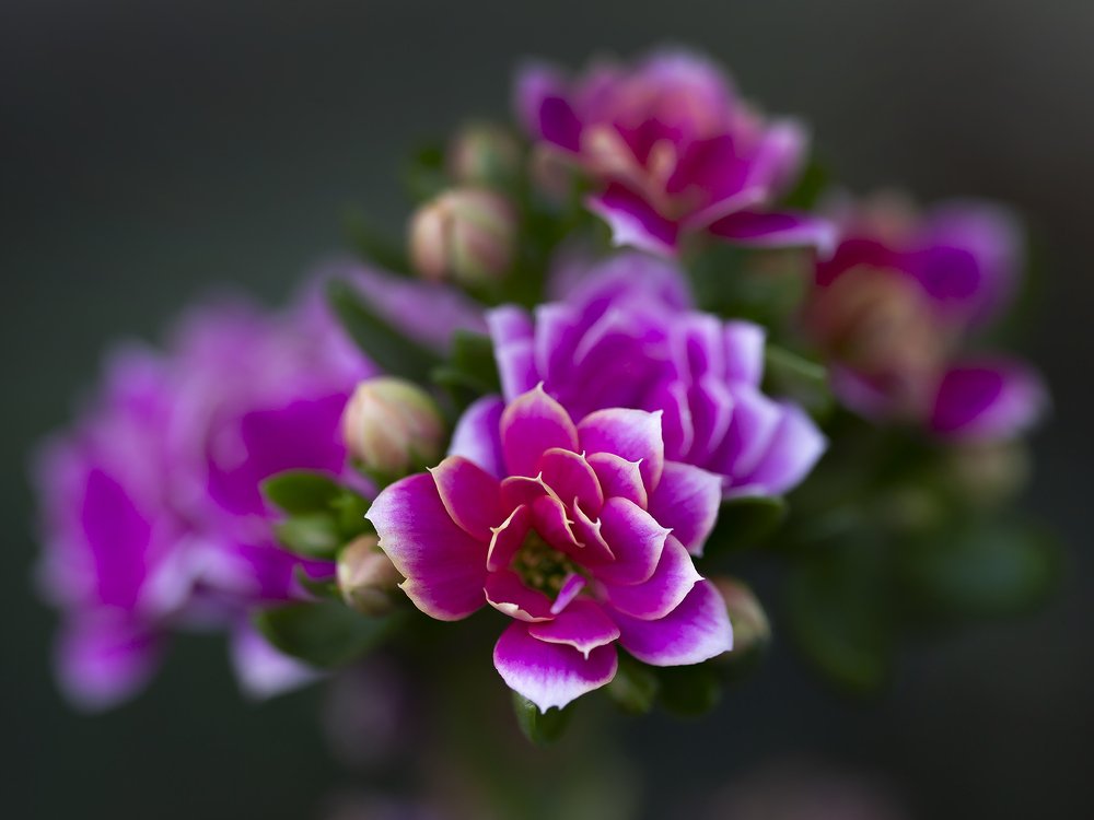 Photograph by Олег Тетерин