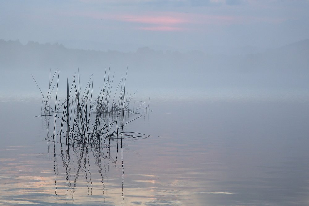 Photograph by Олег Тетерин