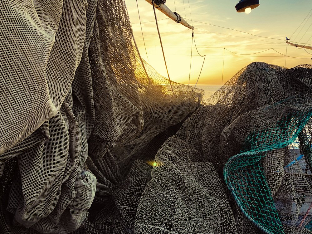 Photograph by Андрей Карбуков