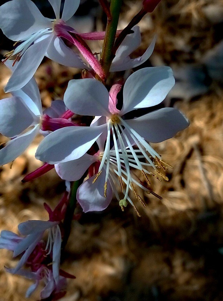 Фотография автора Алла Черноморская
