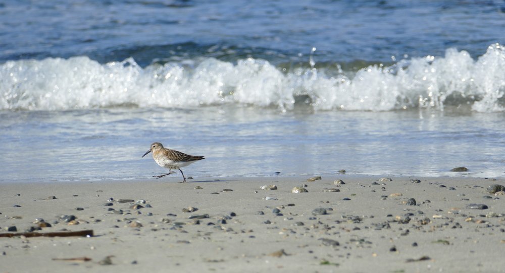 Photograph by Dmitry Lysenko