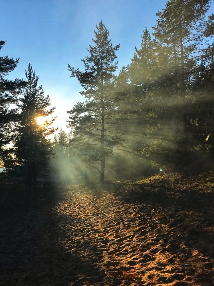 Photograph by Ольга Алейнер