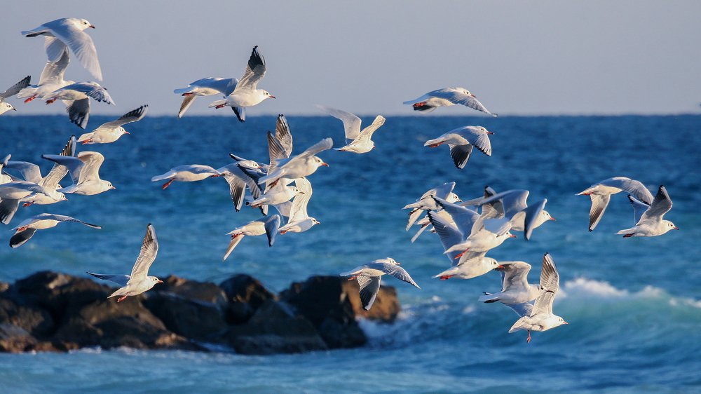 Photograph by Александр Цабель