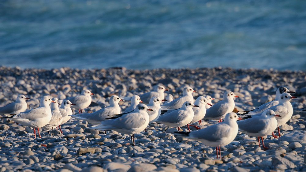 Photograph by Александр Цабель