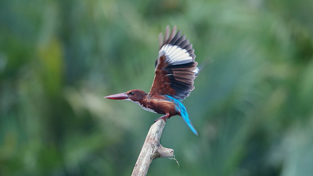 Photograph by Александр Цабель