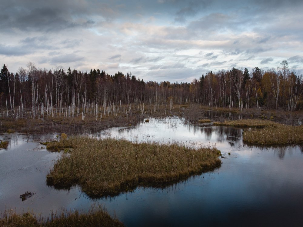 Photograph by Dmitry Gorbachev