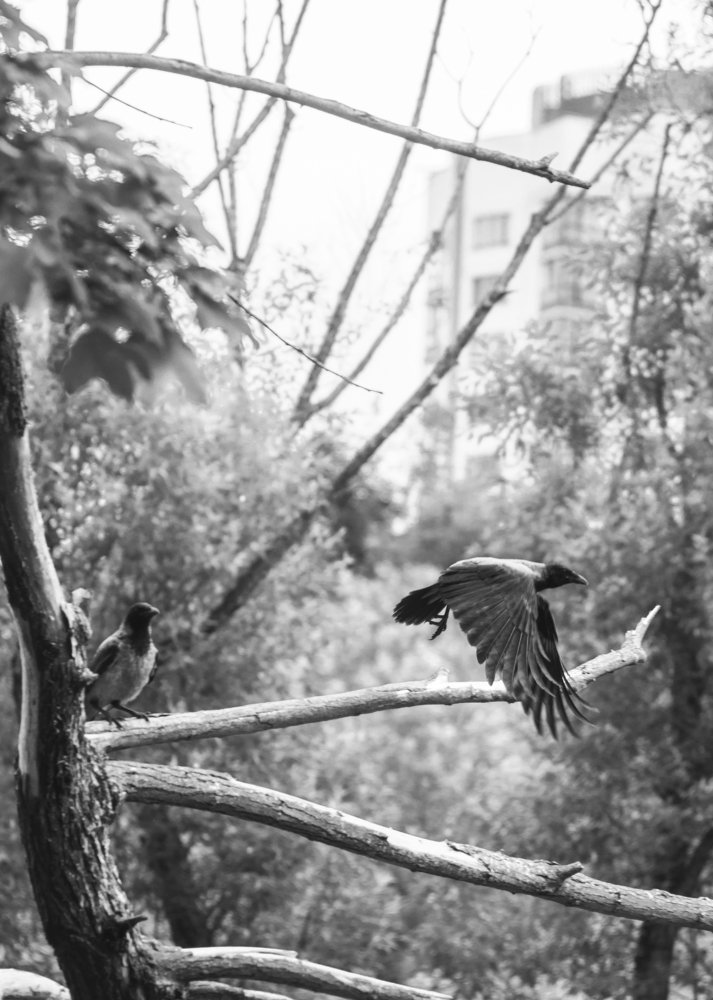 Photograph by Aliaksei Shandalin