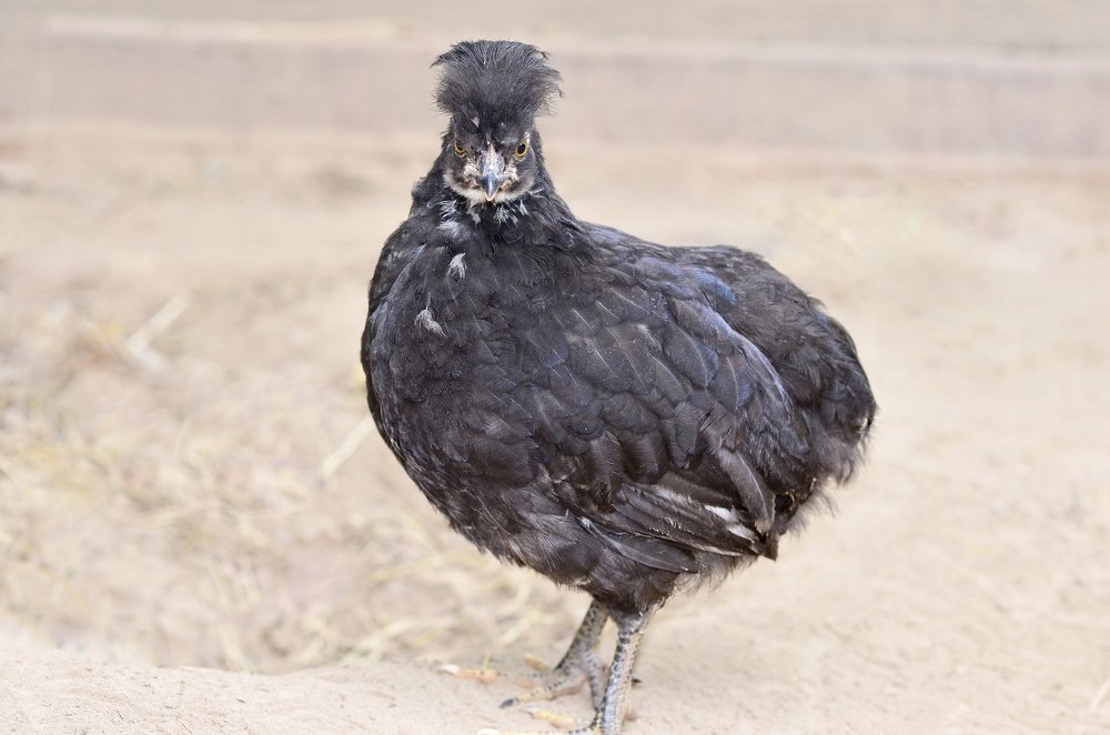 Photograph by Виктория Потапова