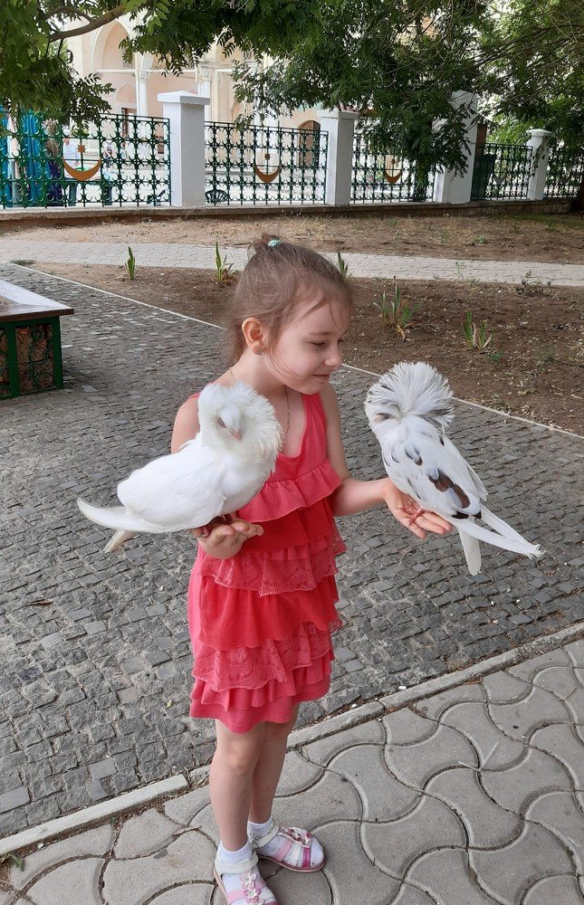 Photograph by Ирина