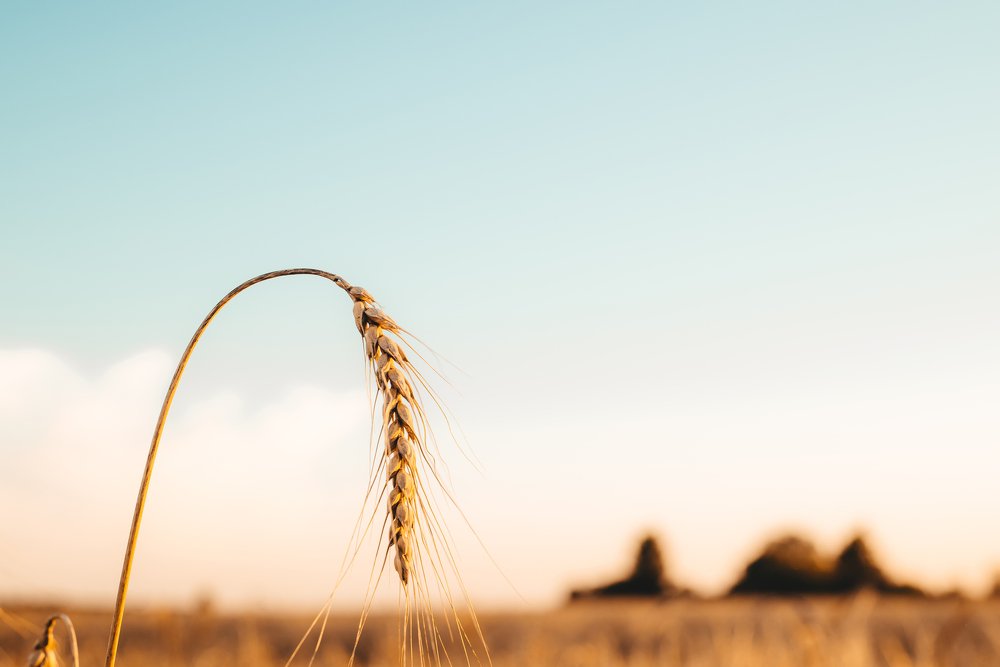 Photograph by Кассандра Мареева