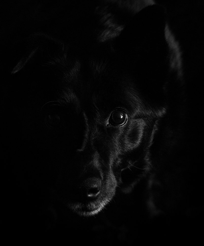 Photograph by Кассандра Мареева