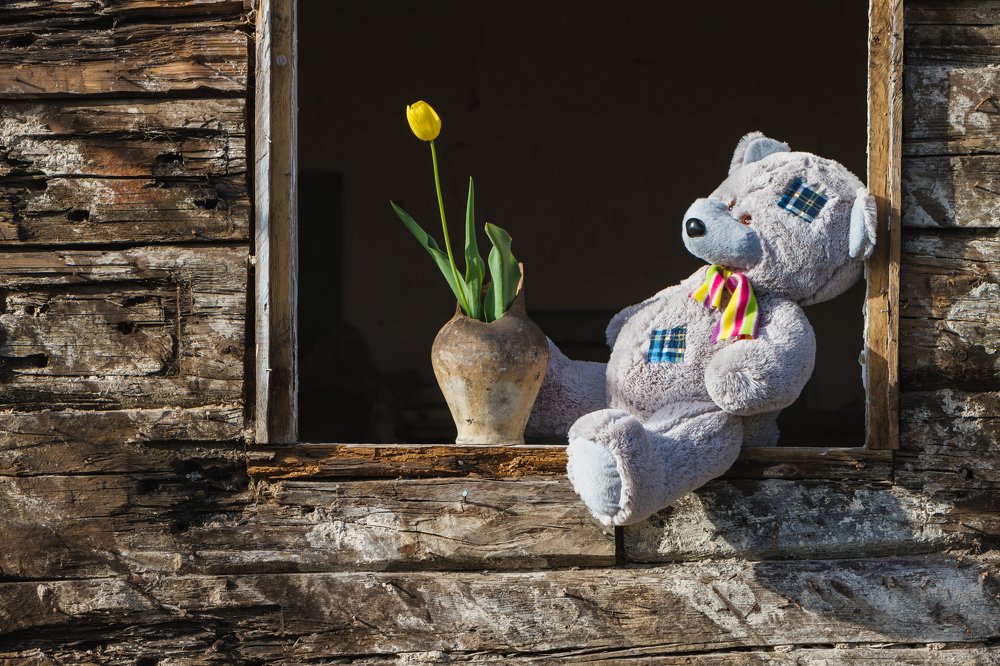 Photograph by Андрей Серый