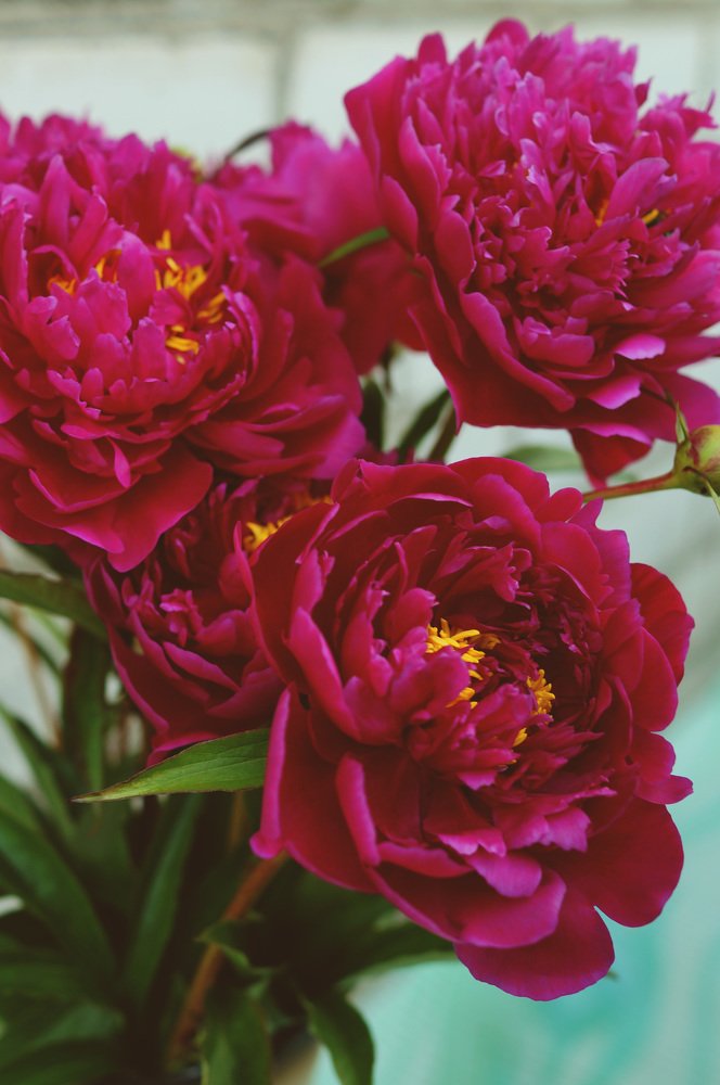 Photograph by Наталия Андреева