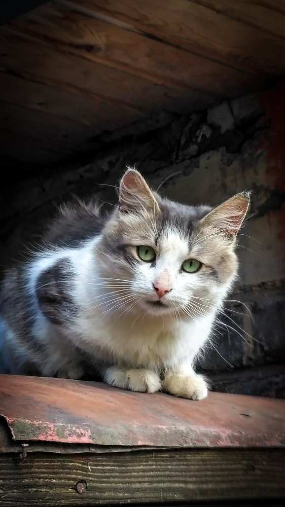 Photograph by Алексей