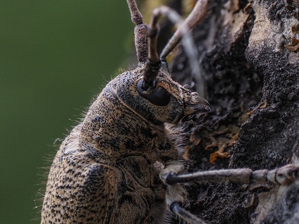 Photograph by Сергей Духанин