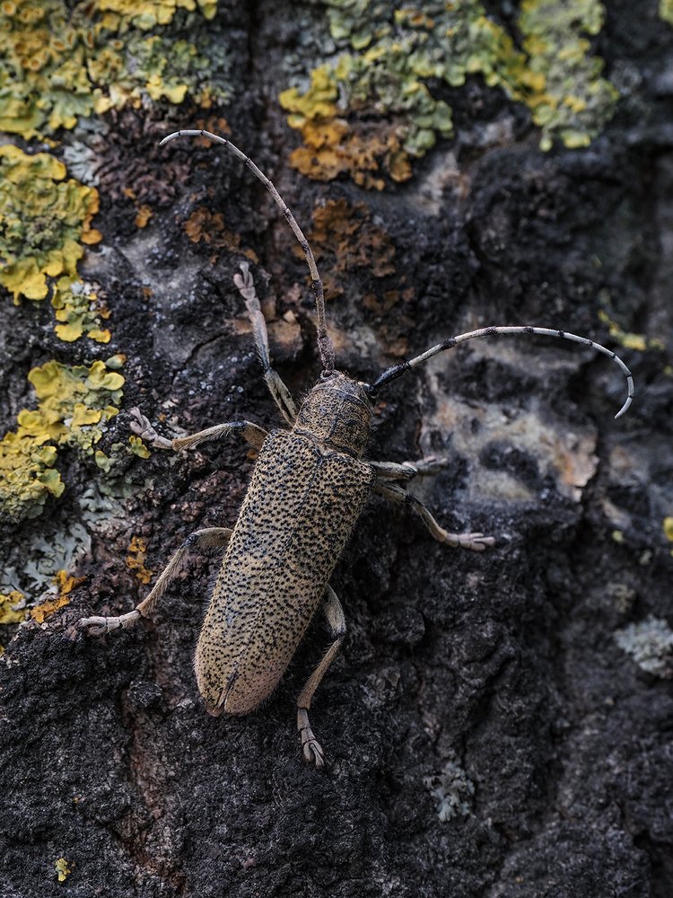 Photograph by Сергей Духанин