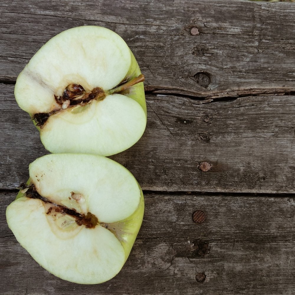 Photograph by Маргарита Глущенко