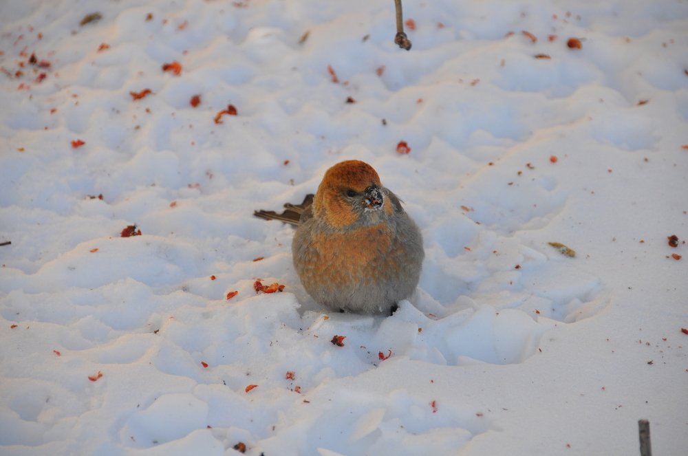 Photograph by Евгений Захаров