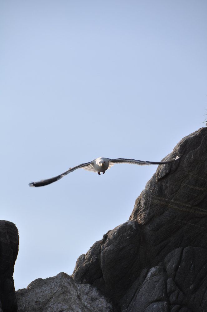 Photograph by Евгений Захаров