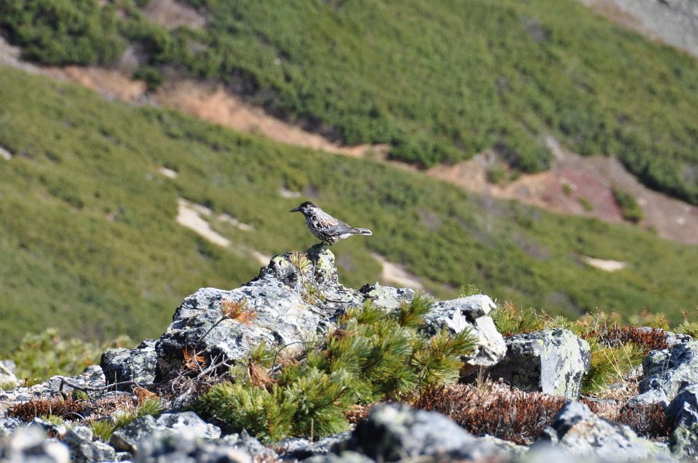 Photograph by Евгений Захаров