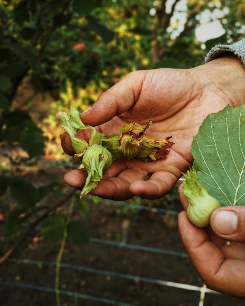Photograph by Маргарита Глущенко