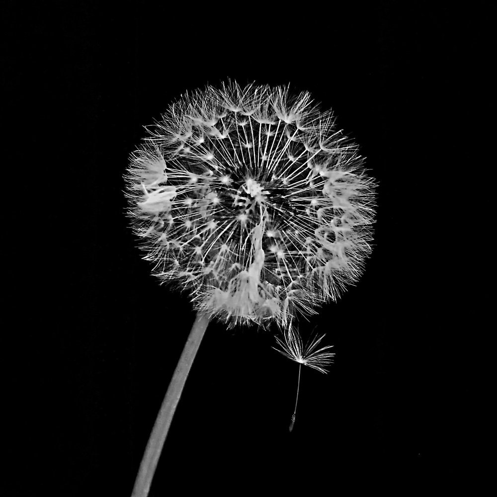 Photograph by Михаил Малец