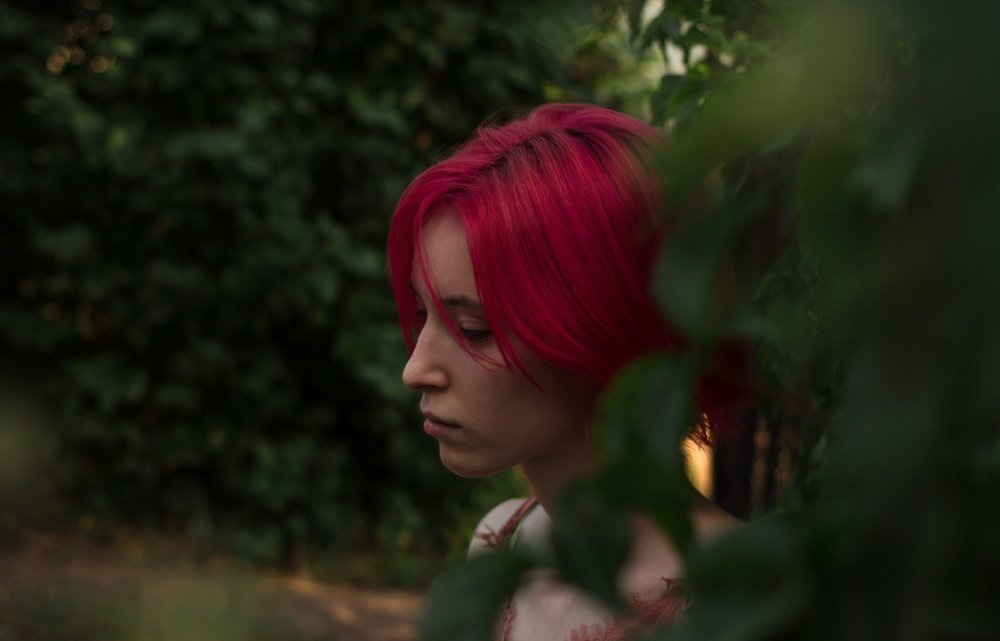 Роза в саду