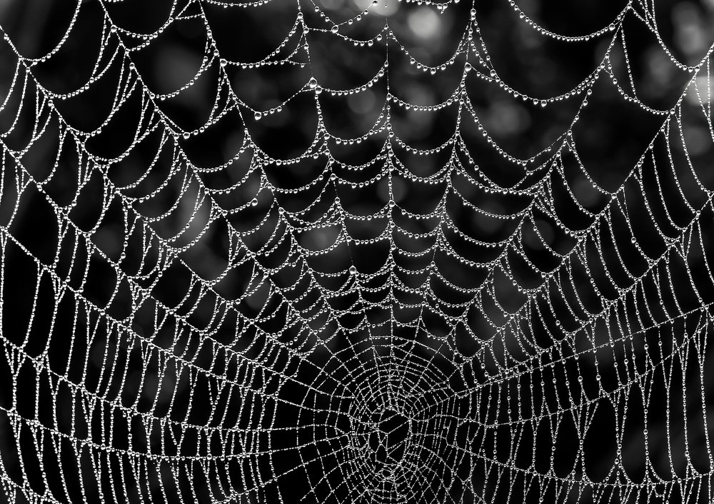 Photograph by Bernard-Serge REAT