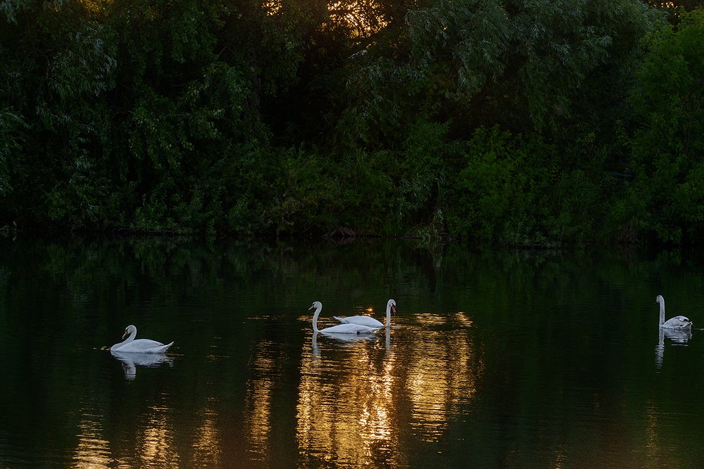 Photograph by Владислав Никишин