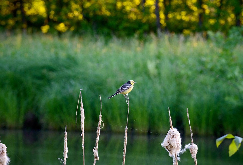 Photograph by Владислав Никишин