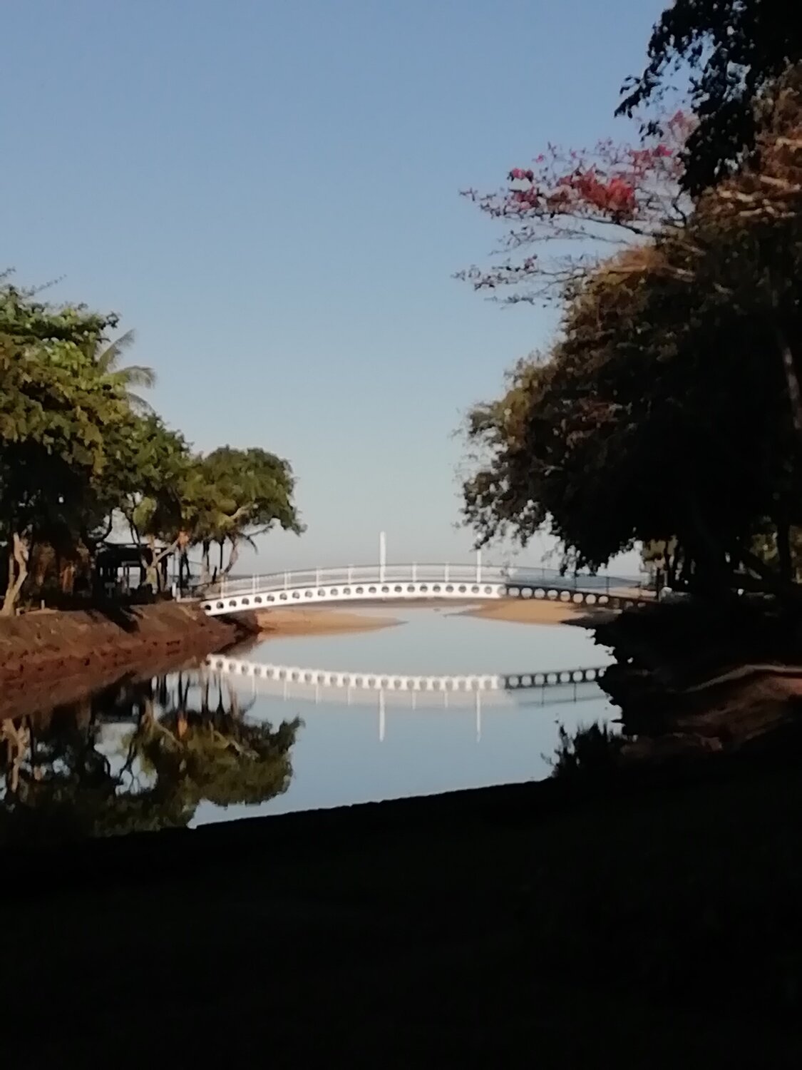 Photo #4884422