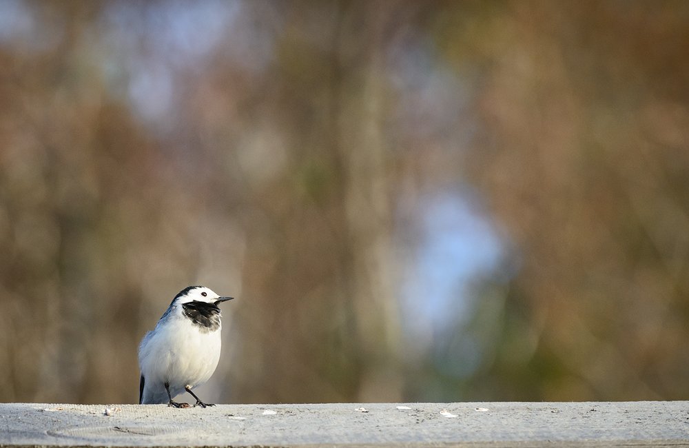 Photograph by Владислав Никишин